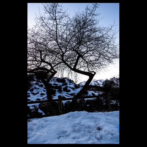 PHOTO84, CLUB, 84 , LUBERON